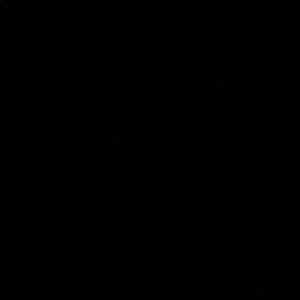 Meet your Posher, Zerina